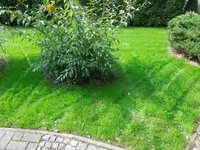 DSCN6606.jpg