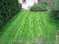 DSCN6607.jpg