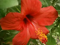 P9120341.webp