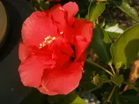 P9120345.webp