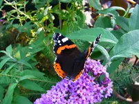 009.webp