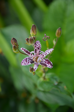 DSC_5657.webp