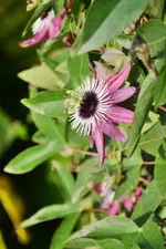 DSC_5162.webp