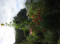 20150910_154406.webp