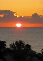 IMG_0591-001.webp