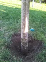 2015-09-13 18.16.09.webp