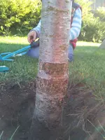 2015-09-13 18.16.22.webp