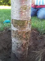 2015-09-13 18.16.30.webp