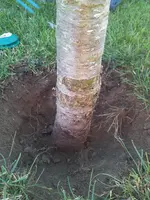 2015-09-13 18.16.41.webp