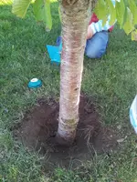 2015-09-13 18.16.45.webp