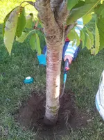 2015-09-13 18.16.49.webp