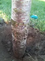 2015-09-13 18.17.15.webp