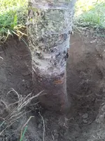 2015-09-13 18.30.45.webp