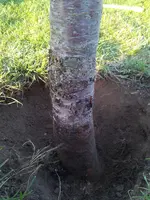 2015-09-13 18.30.54.webp