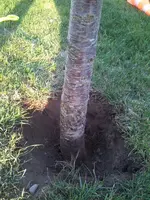 2015-09-13 18.31.02.webp