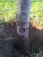 2015-09-13 18.31.21.webp