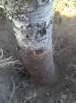 2015-09-13 18.31.27.webp