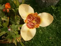 P9130370.webp