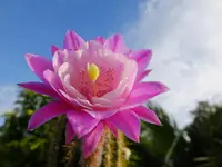 DSCF9147.webp