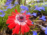 DSCF9075.webp