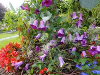 DSCF9083.webp