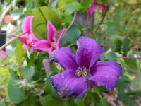 DSCF9084.webp