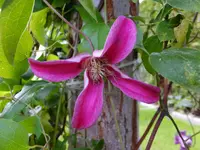 DSCF9086.webp