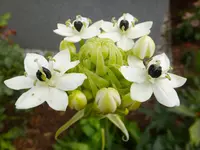 DSCF9101.webp