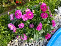 DSCF9161.webp
