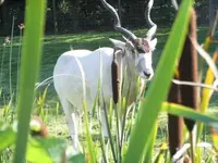 Bilda037.webp