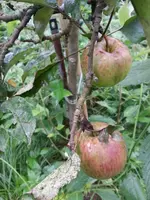 20150914_091641a.webp