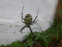 P1510877.webp