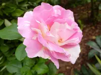 DSCF9128.webp