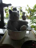 P1520714.webp
