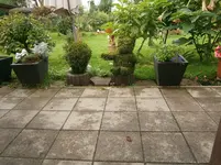 P9140405.webp