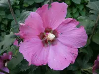 P9140410.webp