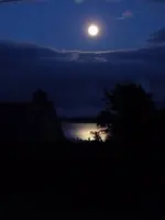 image.webp