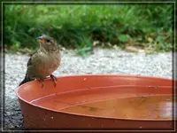 comp_DSC09892.webp