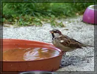 comp_DSC09887.webp
