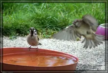 comp_DSC09900.webp