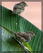 comp_DSC09901.webp