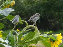 DSCF9201.webp