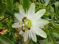 DSCF9220.webp