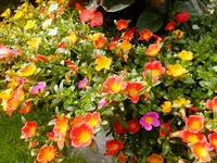 DSCF9209.webp