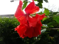 DSCF9214.webp