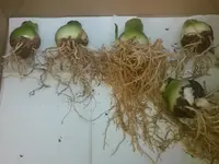 20150909_173741[1].webp