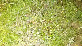 IMG_20150915_204153.webp