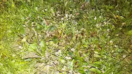 IMG_20150915_204159.webp
