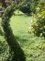 P9150421.webp