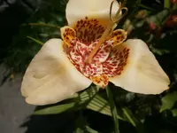 P9150425.webp